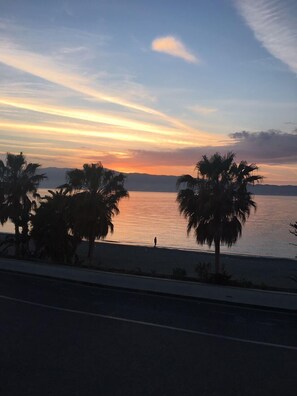 A sunset view with palm trees and a calm body of water.