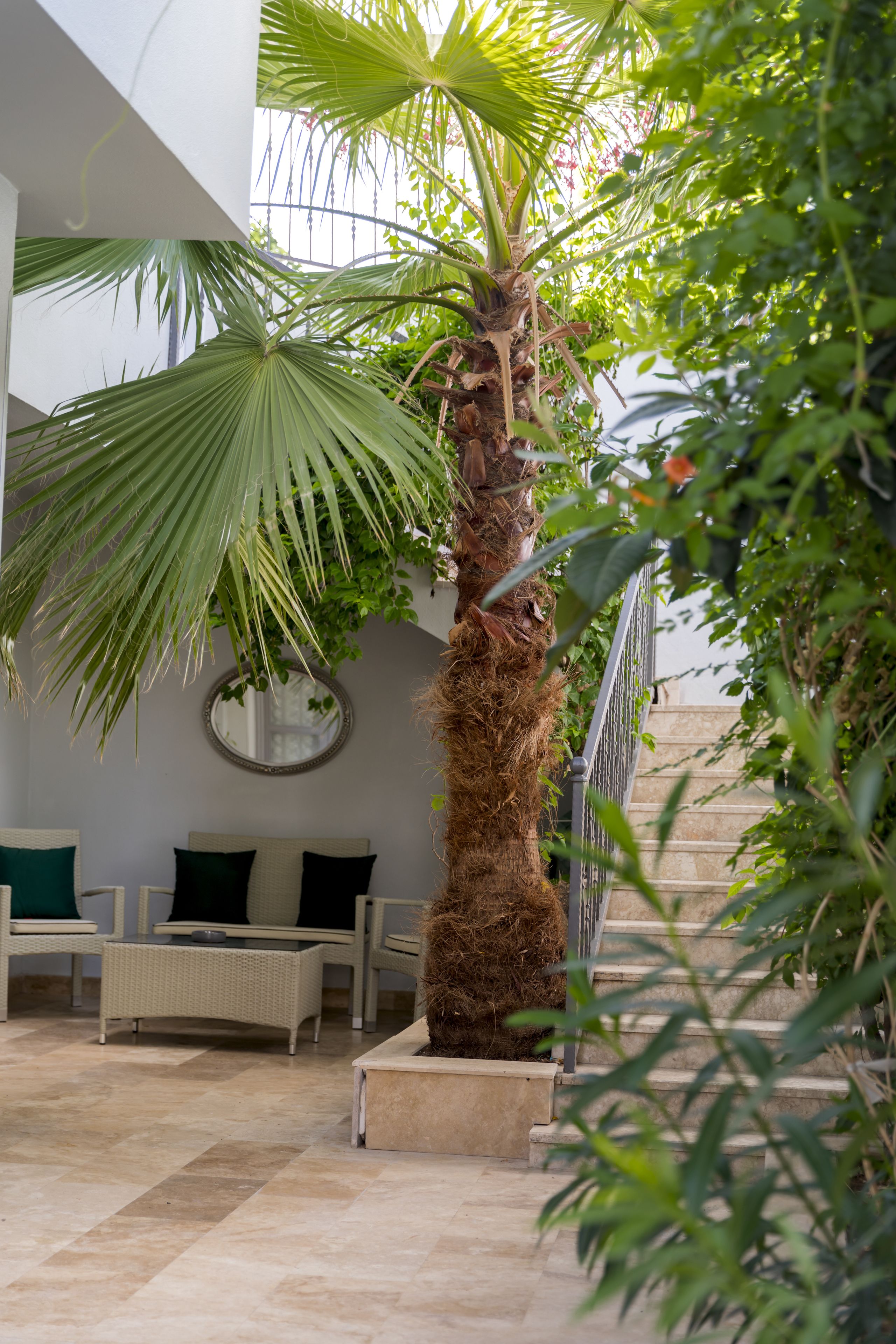 A modern interior with a palm tree, wicker furniture, and a stone staircase.