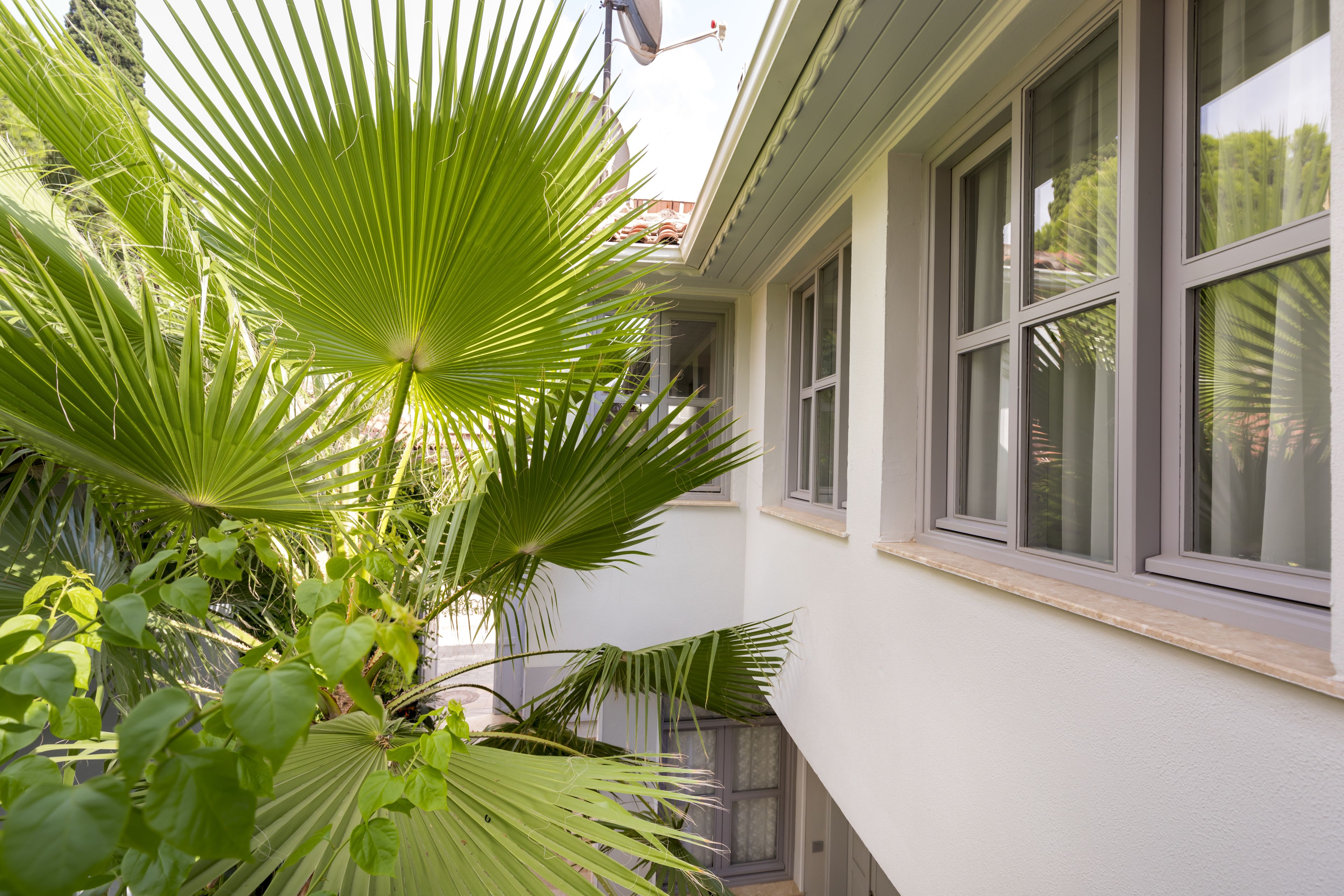 Foto - Delight Deluxe Hotel & Spa