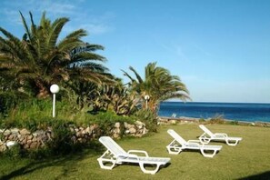 A beachside lounge area with white sun loungers, palm trees, and a clear view of the ocean.