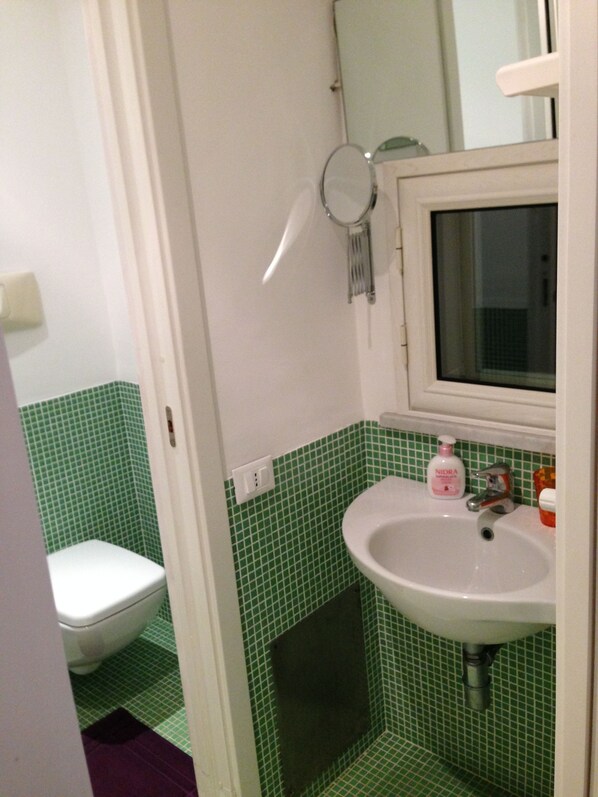 A bathroom with a toilet, sink, and mirror.