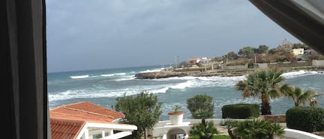 Vista desde la habitación