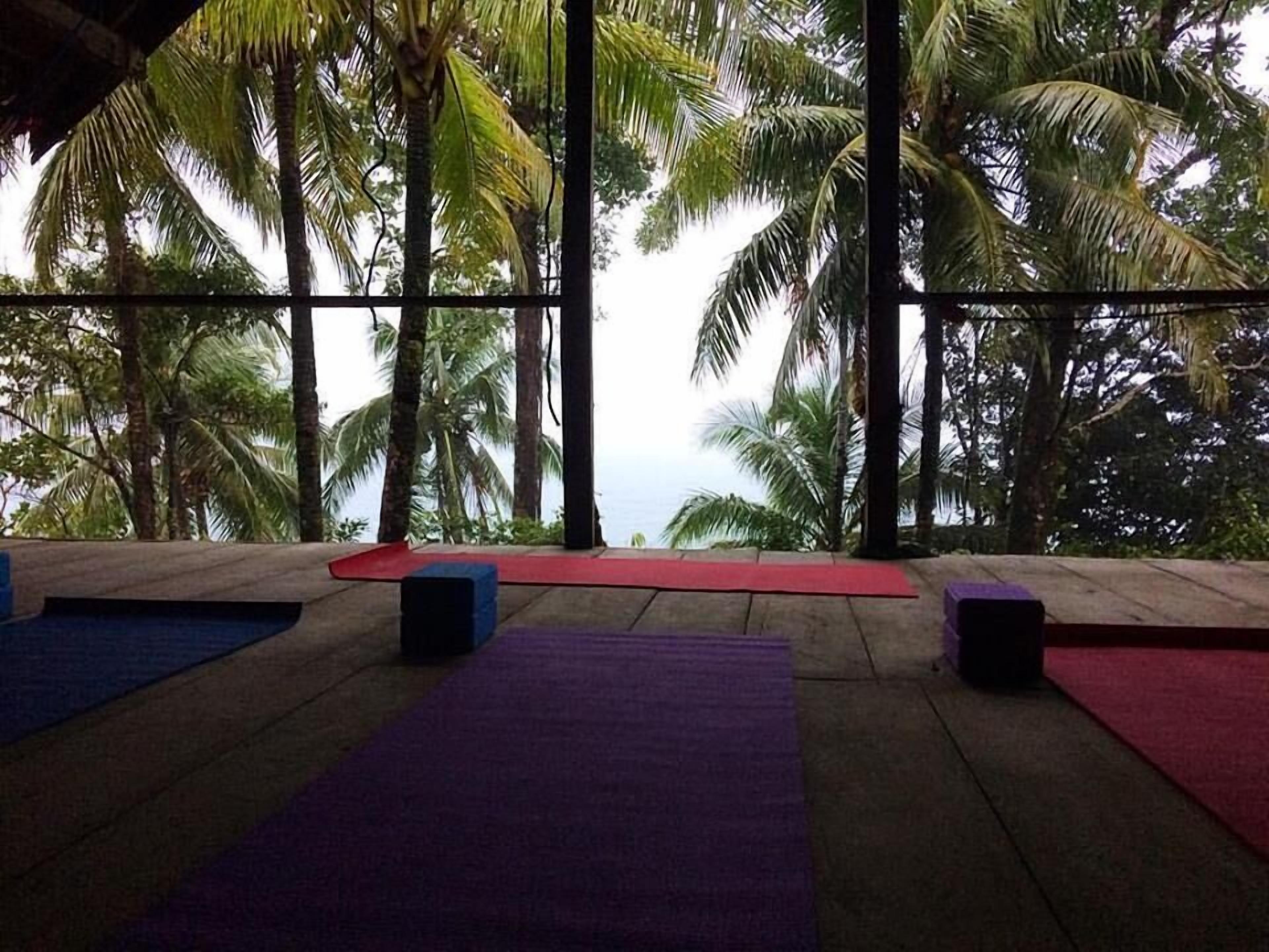 A yoga studio with mats and speakers, large windows, and a view of palm trees and the ocean.