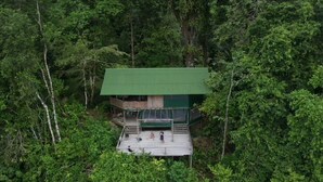 Una cabaña con techo verde rodeada de un bosque denso.