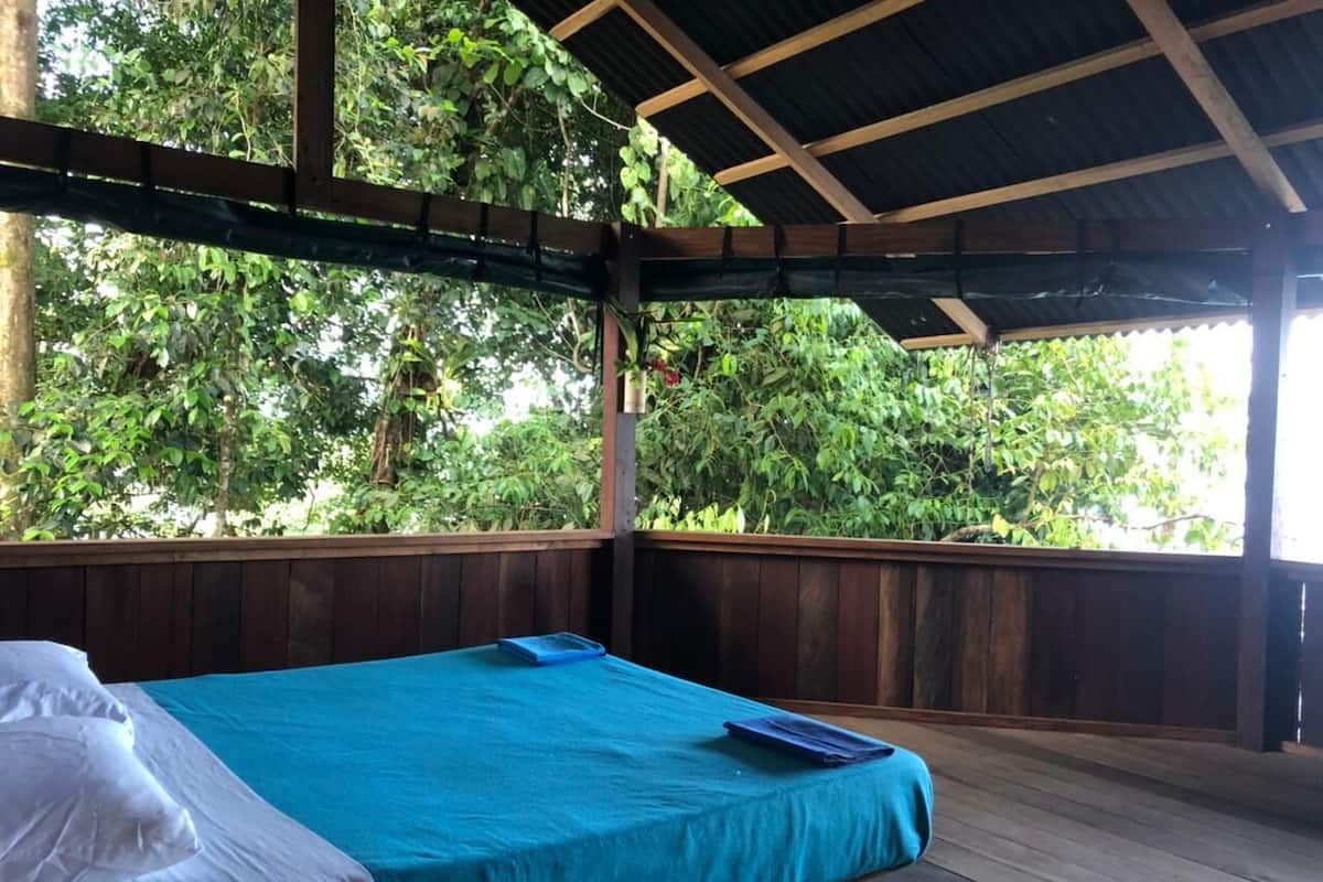 A single bed with a blue mattress in a wooden-floored room with a view of lush greenery.