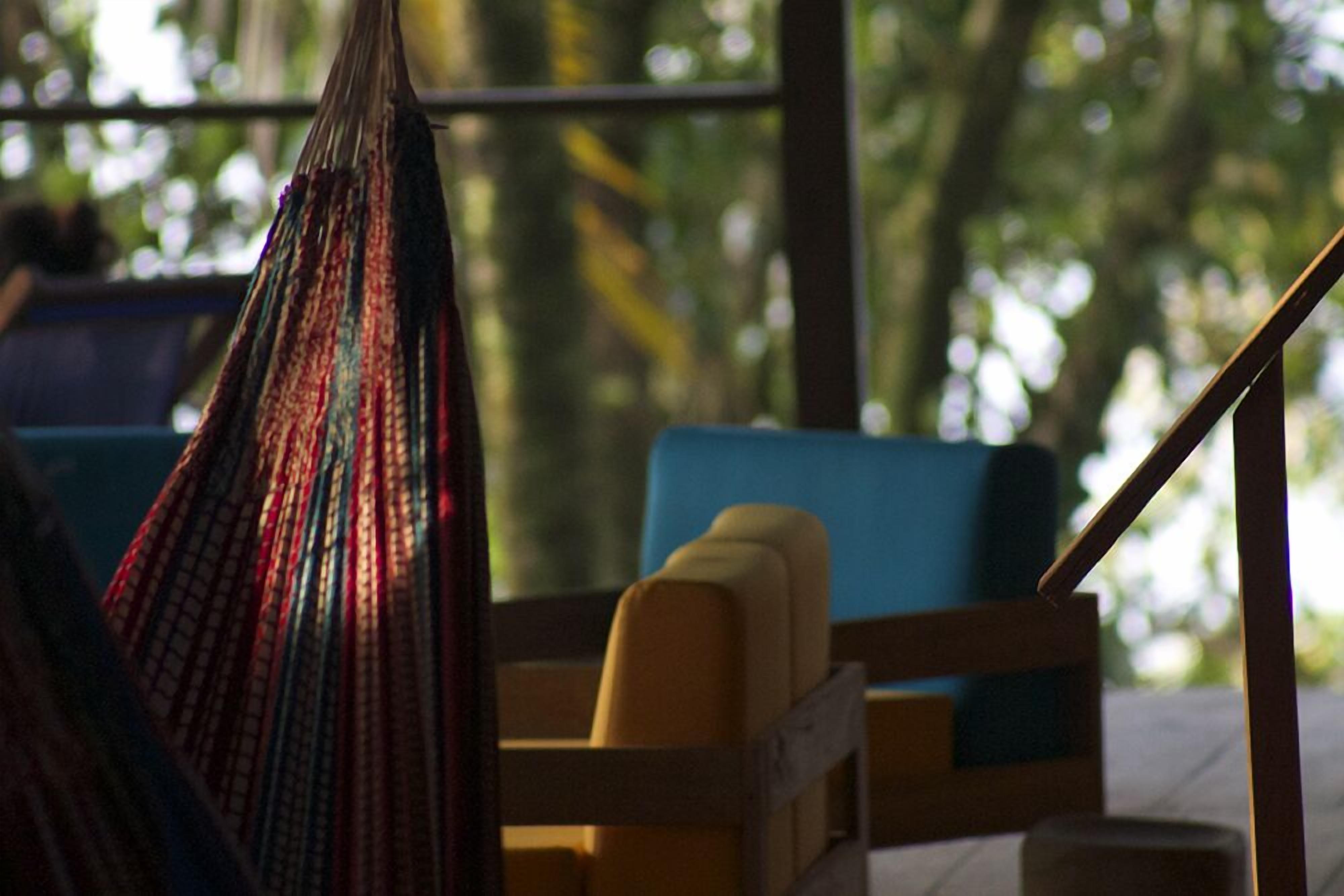 A hammock hanging in a room with a view of greenery outside.