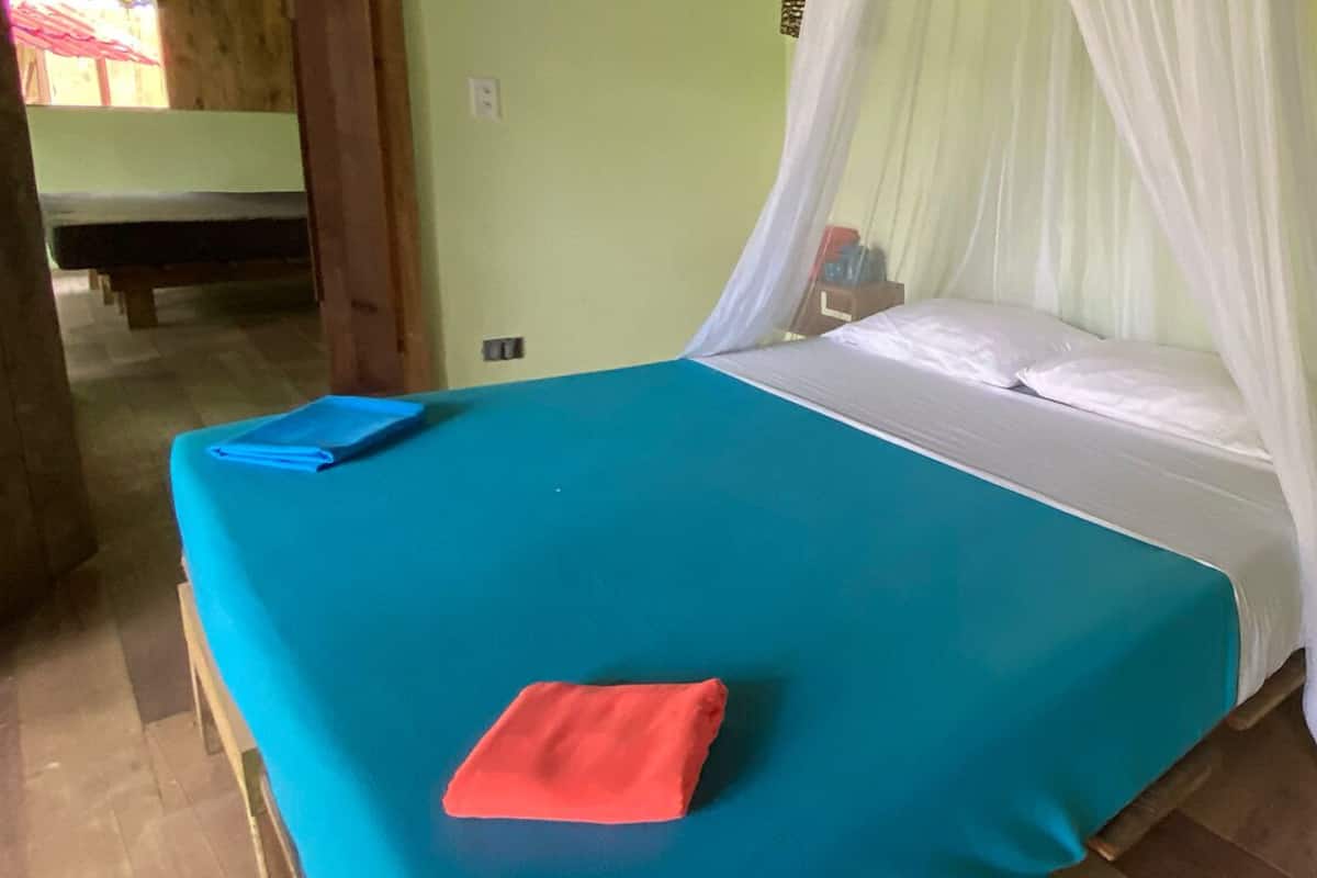 A room with a bed, a blue bedspread, a red pillow, and a white canopy.