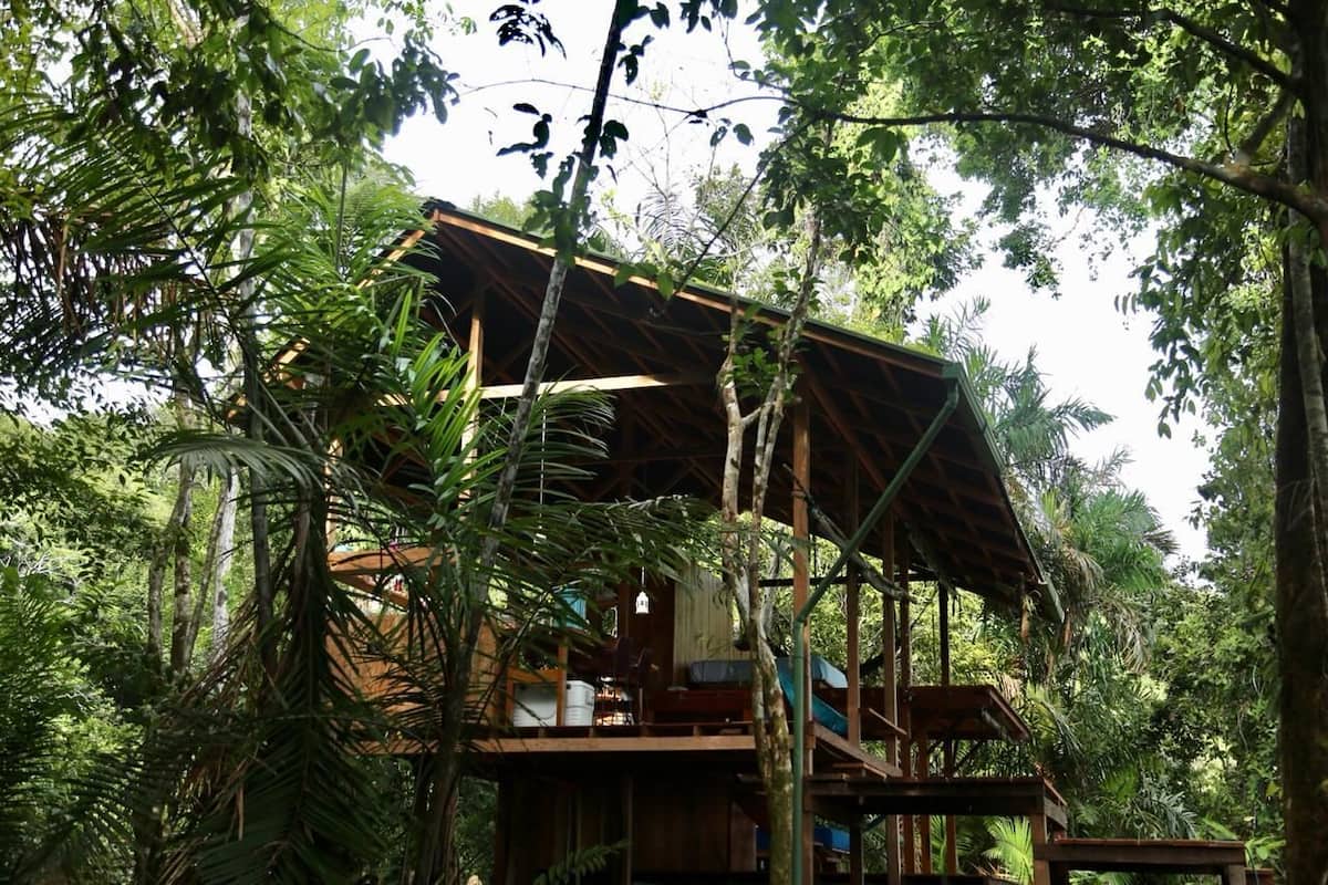 A wooden cabin with a thatched roof, surrounded by dense tropical foliage.
