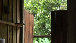 Un baño con puerta de madera que da a un espacio exterior cubierto y vistas de abundante vegetación.