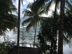 Beach/ocean view