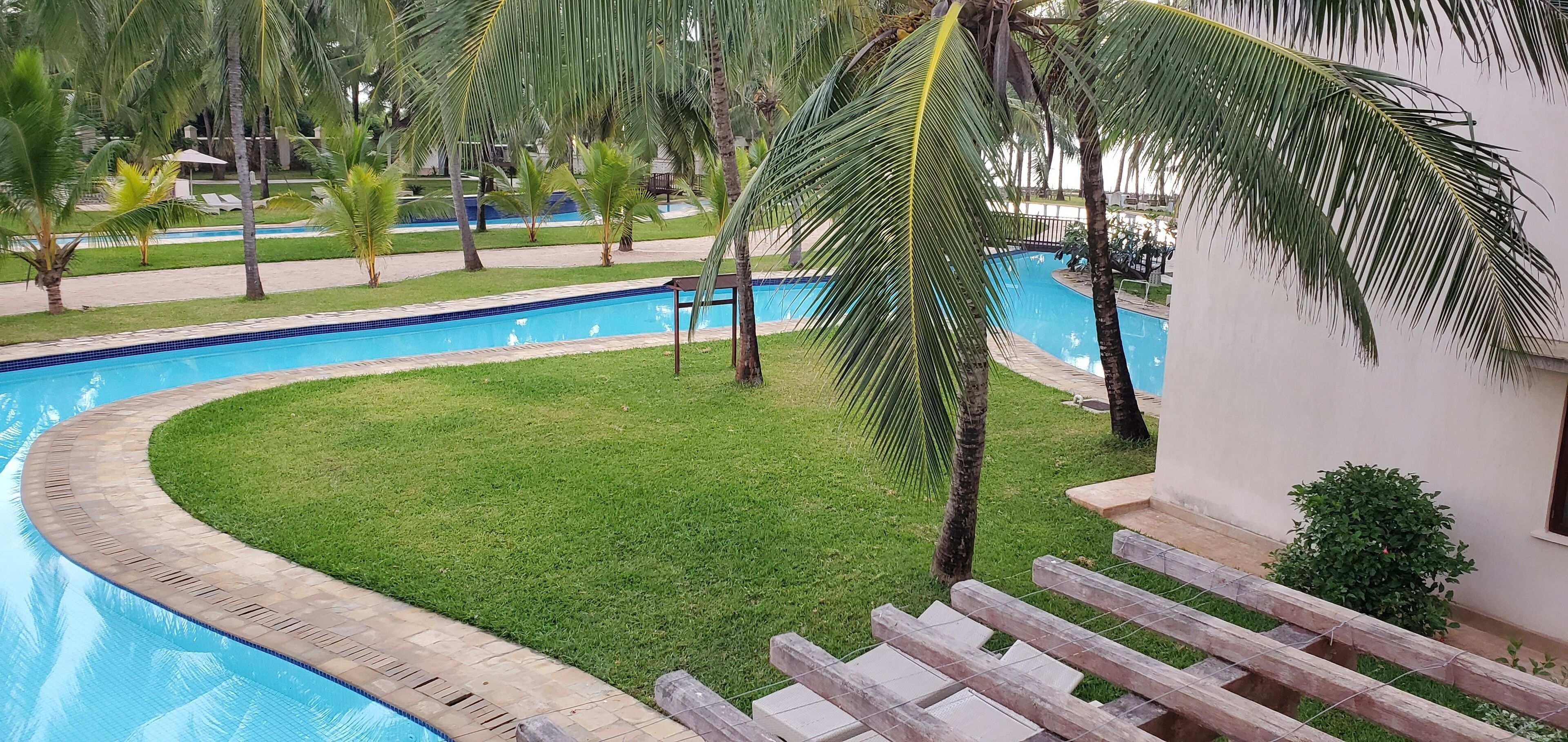A swimming pool with a curved edge, surrounded by a well-maintained lawn and palm trees.