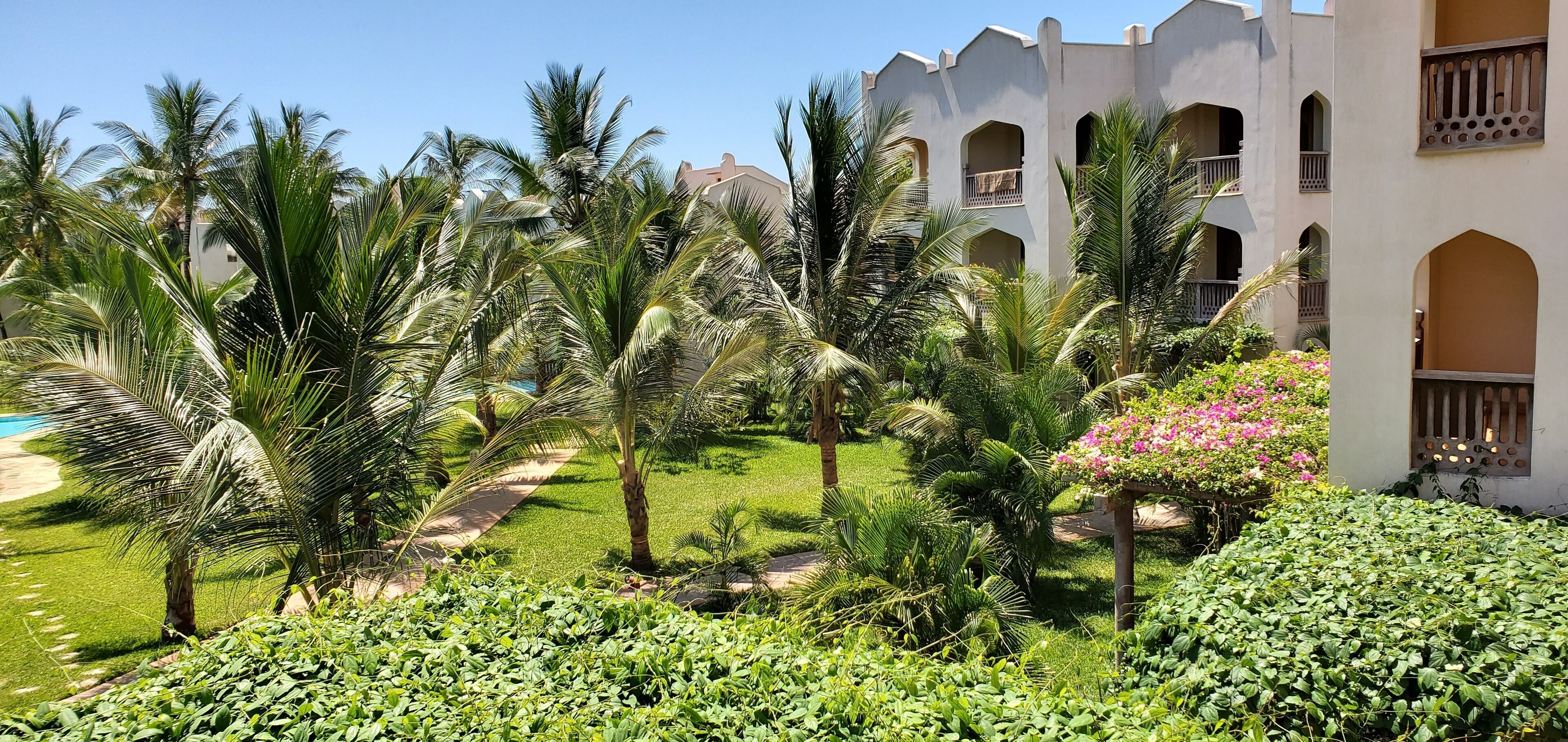 A lush garden with palm trees and a pathway leading to a building with balconies.