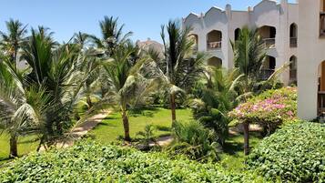 A lush garden with palm trees and a pathway leading to a building with balconies.