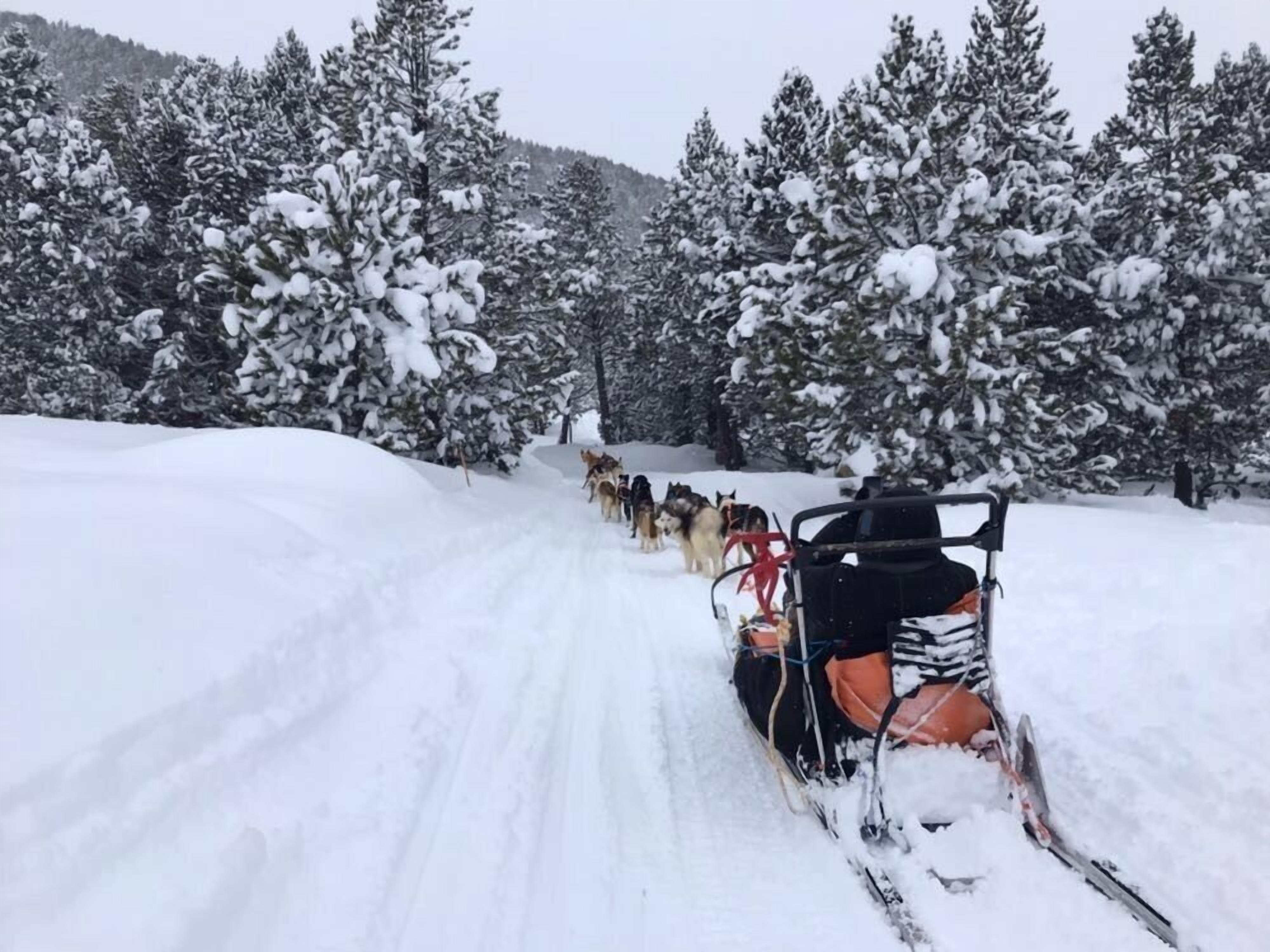 A snowy landscape with a sled team pulling a sled.