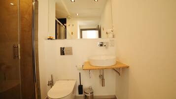 A bathroom with a toilet, a sink, a mirror, and a shower.