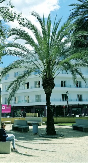 Exterior - Terrace Costa (Fuengirola)
