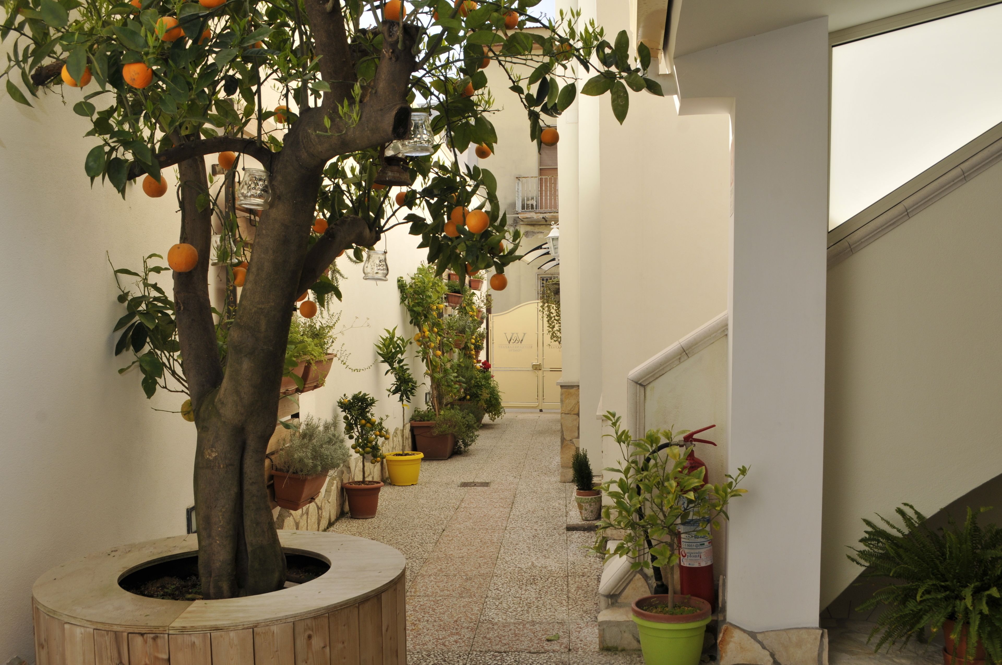 Foto - V&V Suite & Breakfast