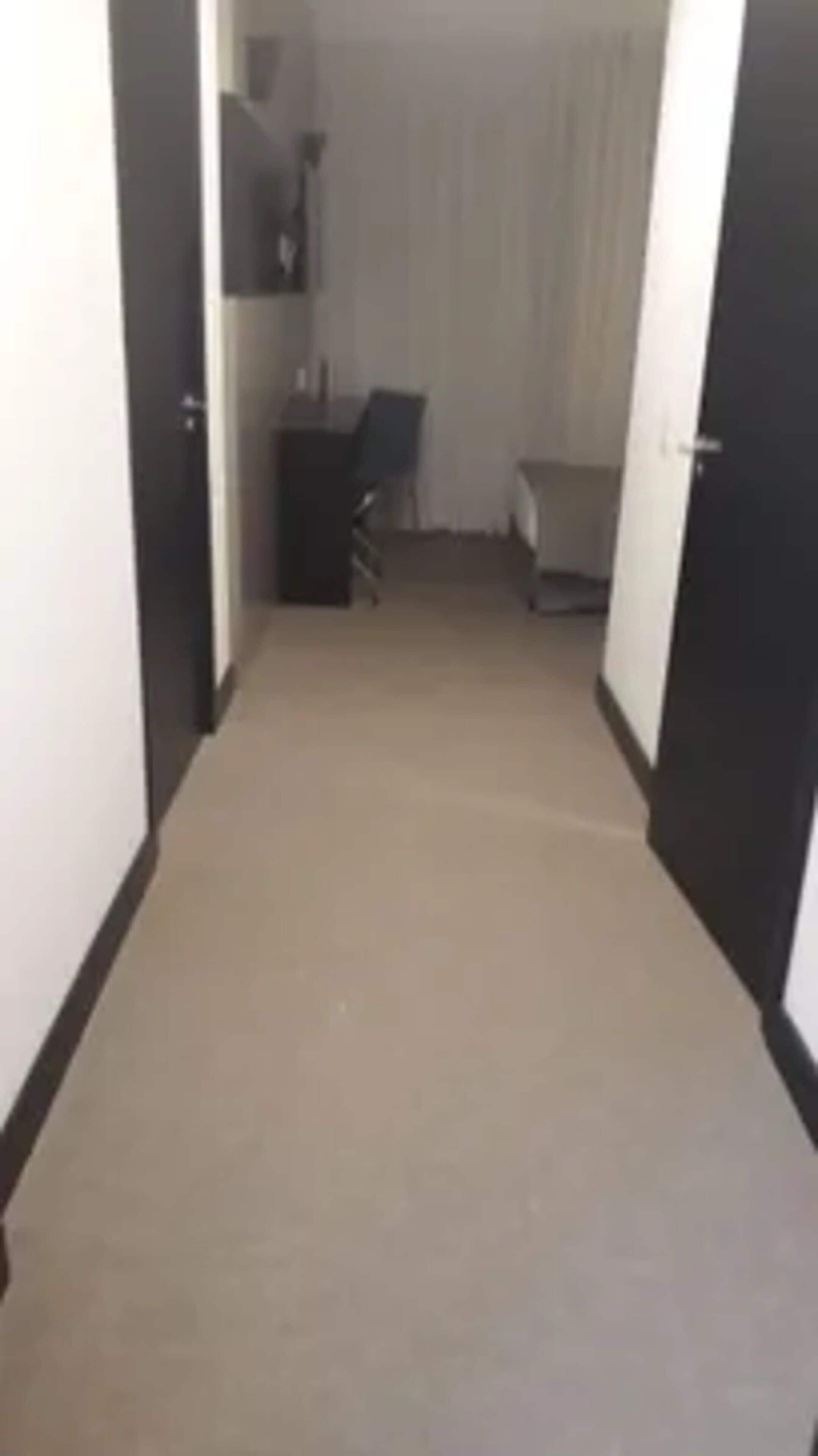 suíte superior 1 cama solteiro adaptado | 1 bedroom, minibar, in-room safe, desk