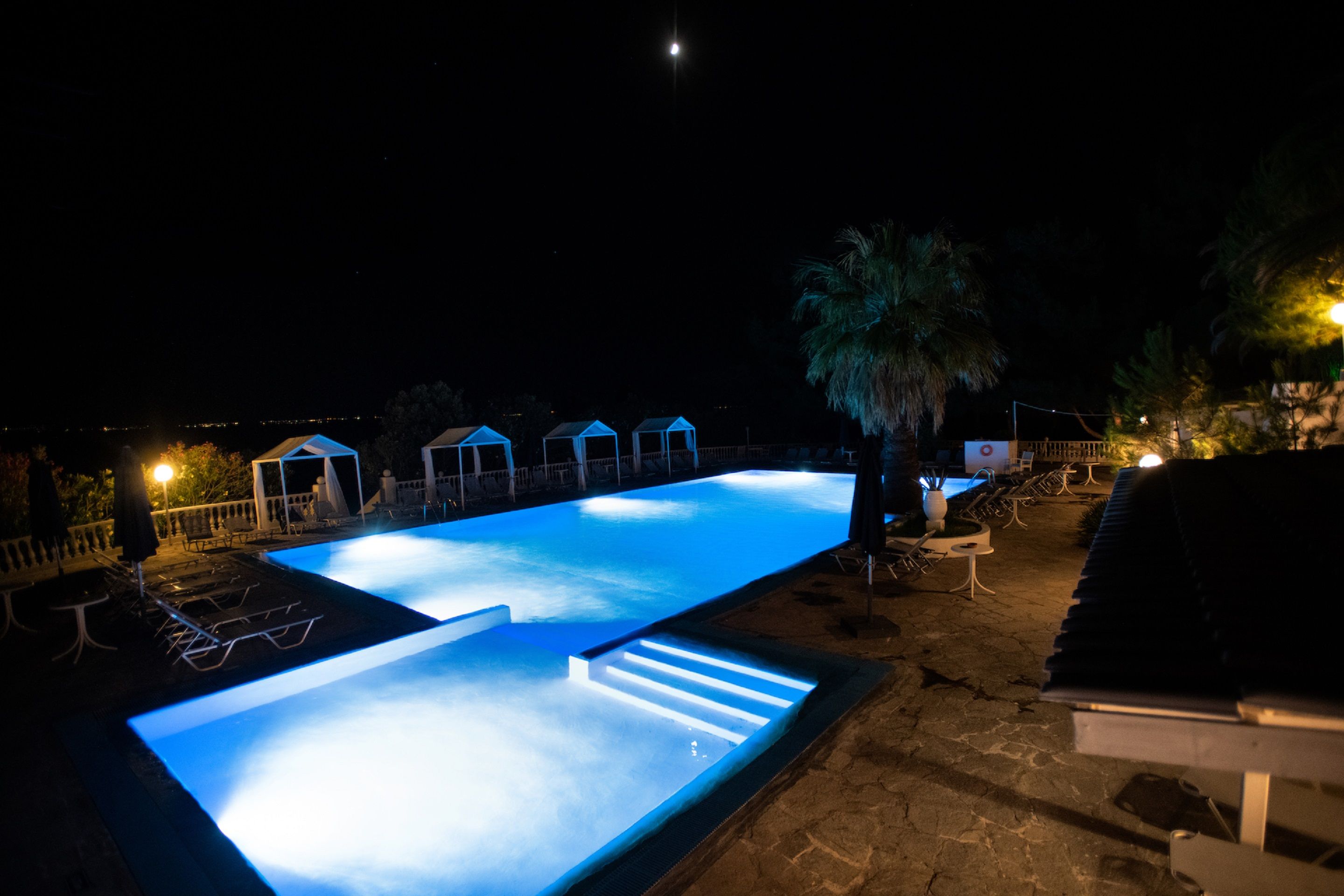 An outdoor swimming pool at night with lounge chairs and a palm tree.