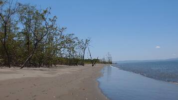 Beach nearby, kayaking