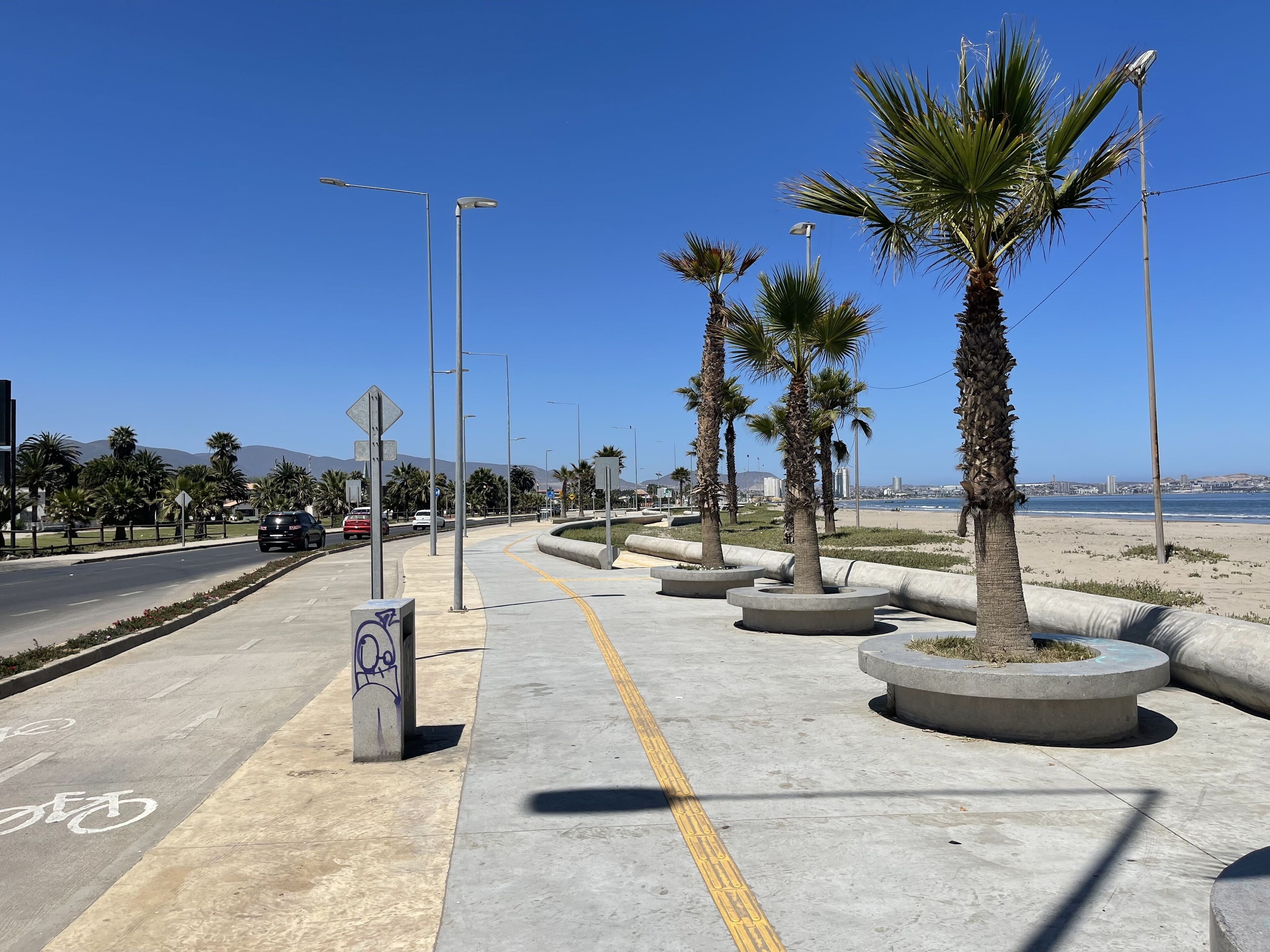 A coastal road with palm trees, a bike lane, and a beach in the background.