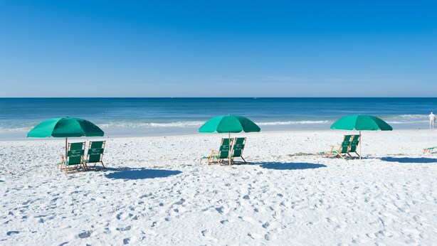 Een strand met drie groene parasols en strandstoelen.