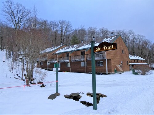 Cozy Bear - 5 mins to Mt Snow Ski Home