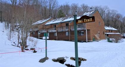 Cozy Bear - 5 mins to Mt Snow Ski Home