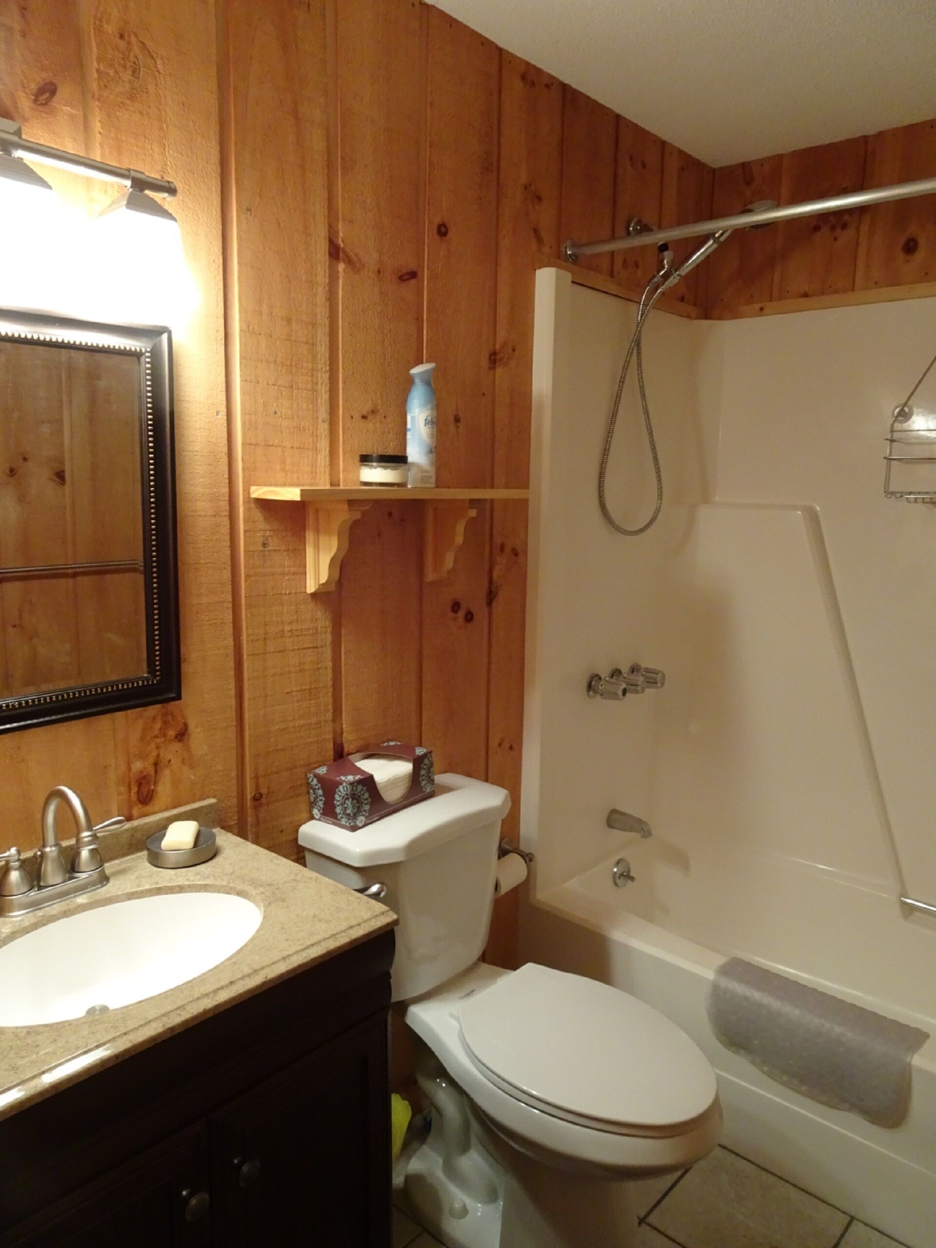 Combined shower/tub, hair dryer, towels, soap
