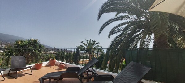 A rooftop terrace with lounge chairs, potted plants, and a view of palm trees and distant mountains.