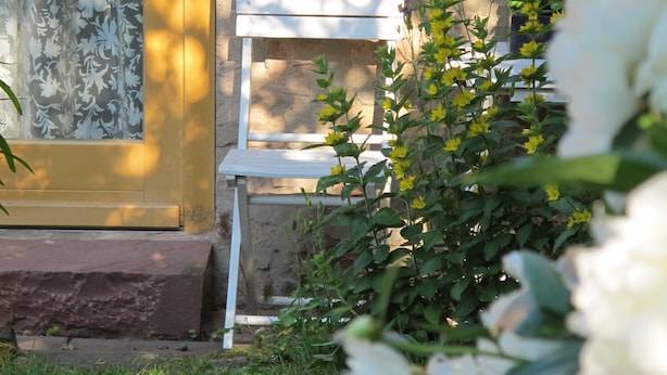 A wooden door with a glass panel, a white bench, and yellow flowers in front of a stone wall.