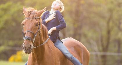100 Morgen Waldblick, Creek Wasserfälle, Private Trails in Forest Homestead