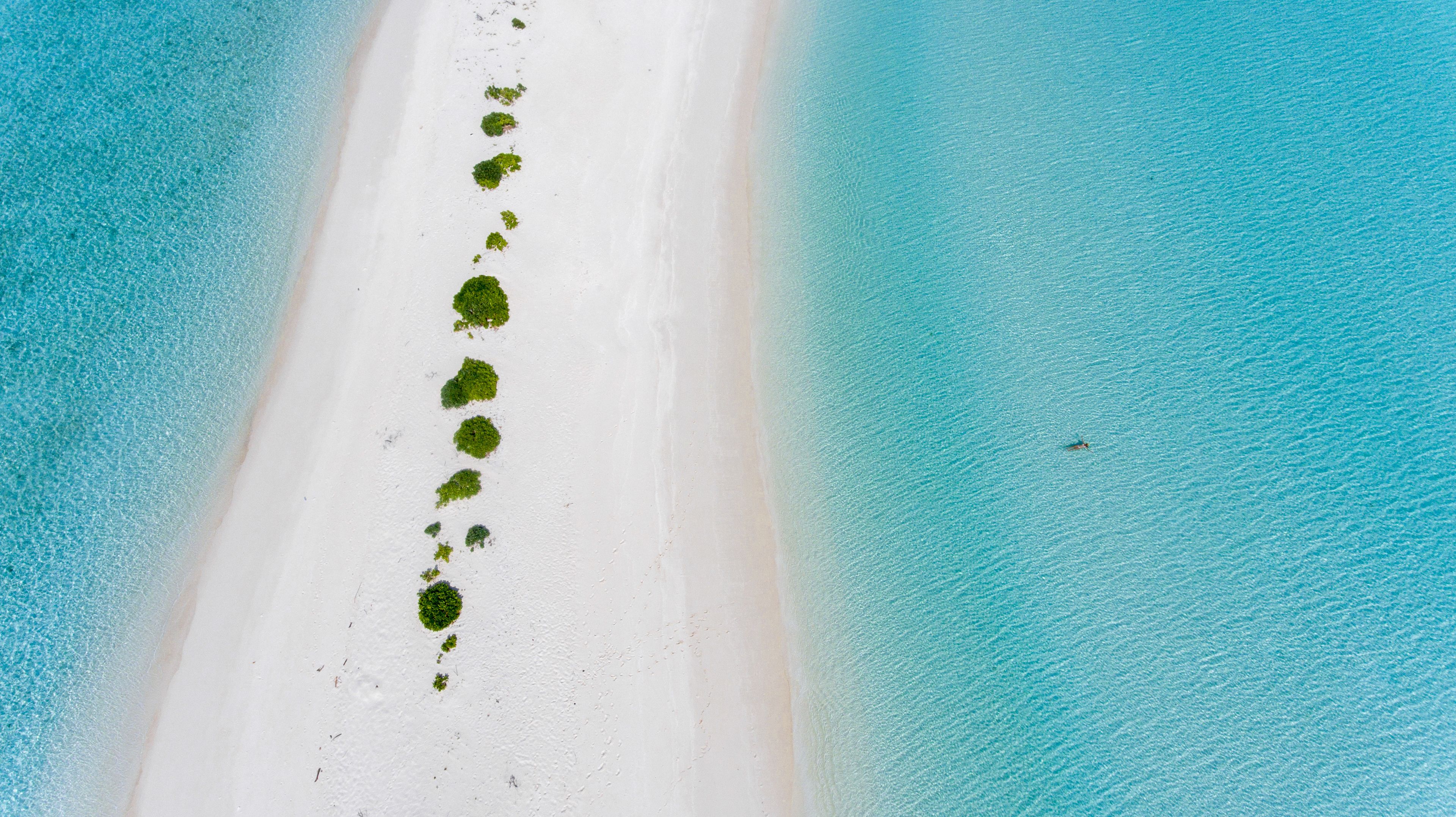 An aerial view of a beach with a sandy path lined with green vegetation.