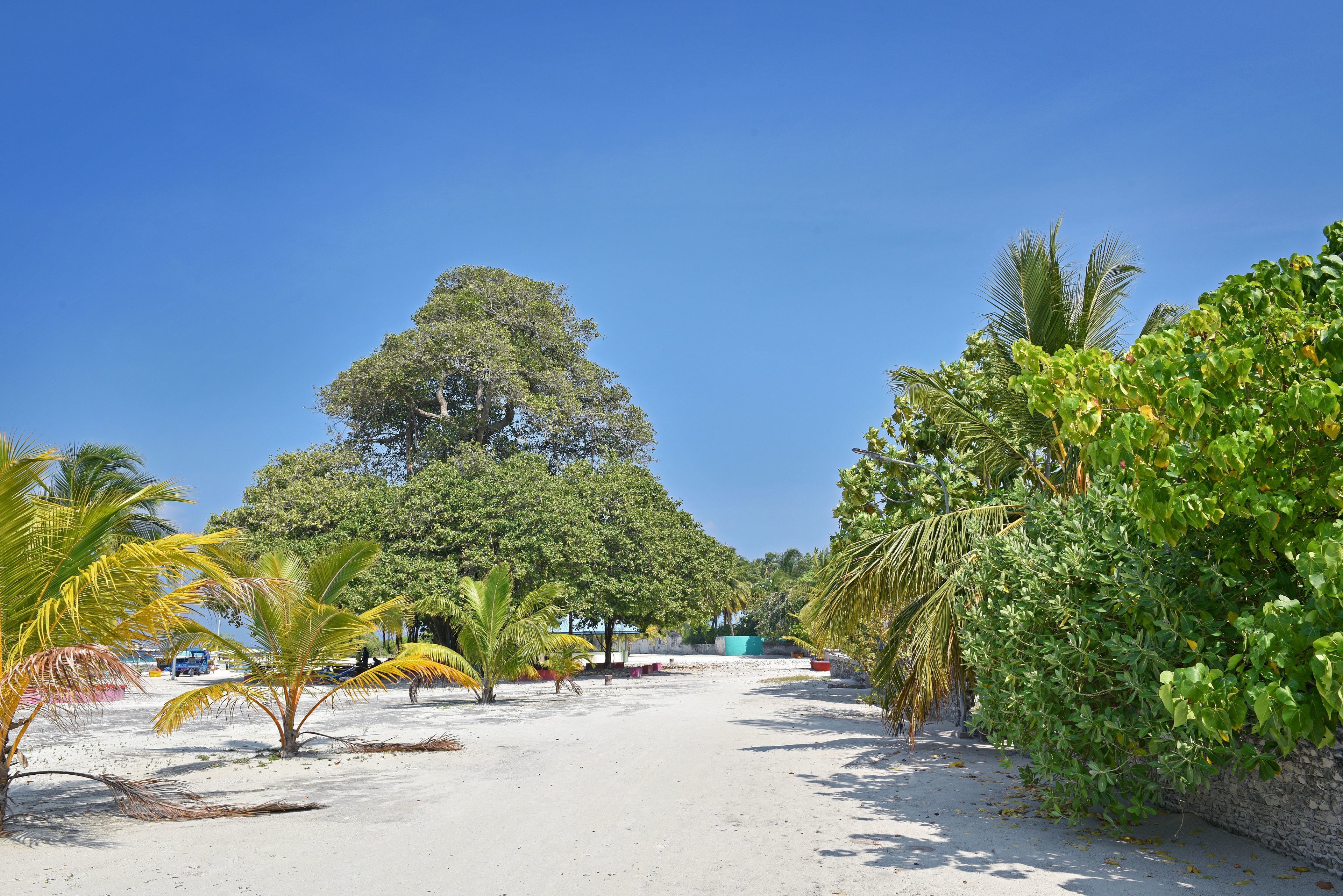 Photo - Asaa View Maldives