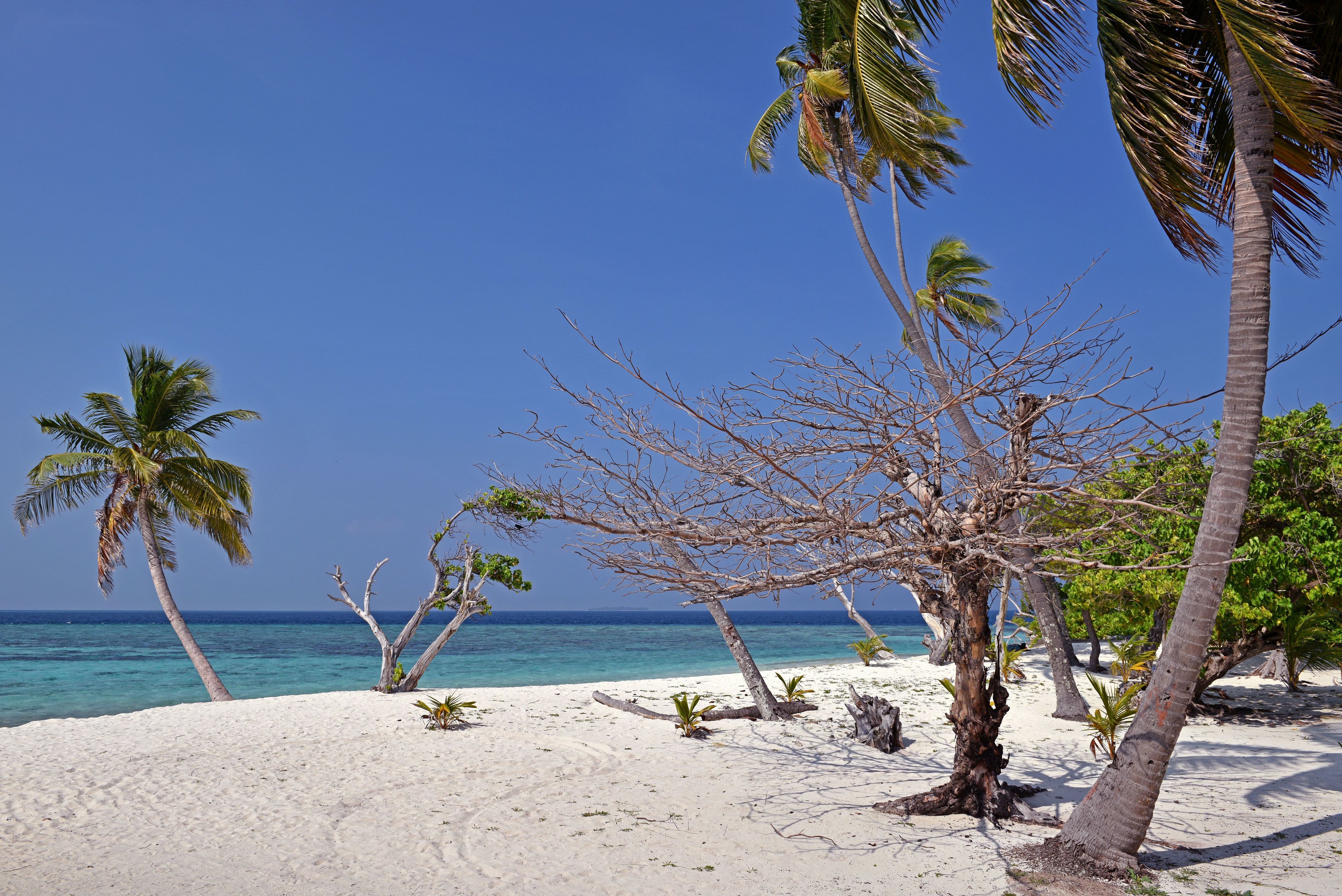 Photo - Asaa View Maldives