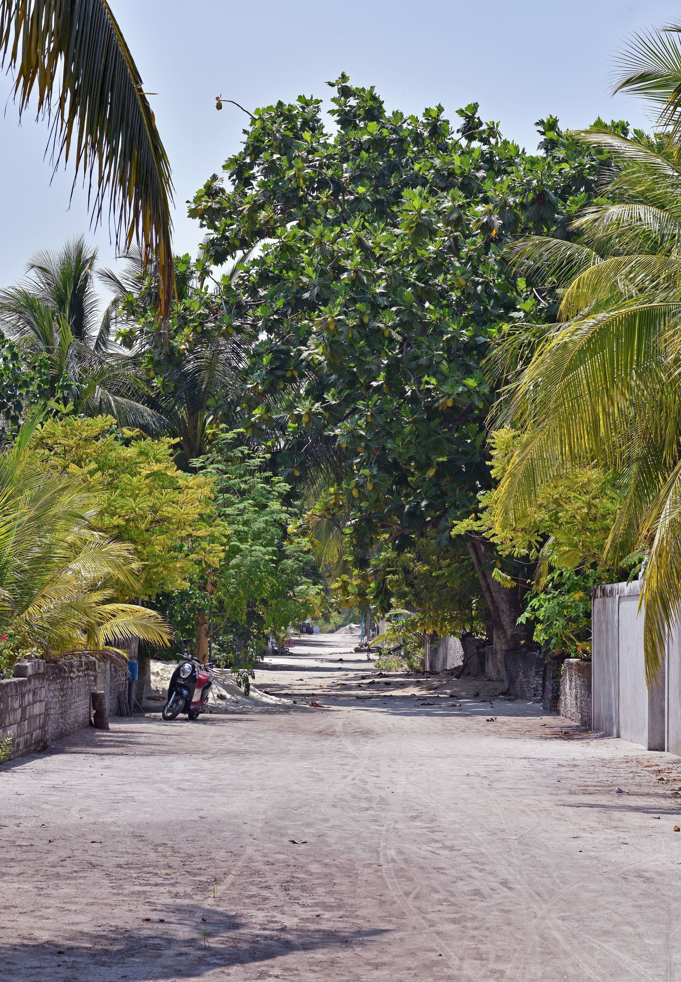 Photo - Asaa View Maldives