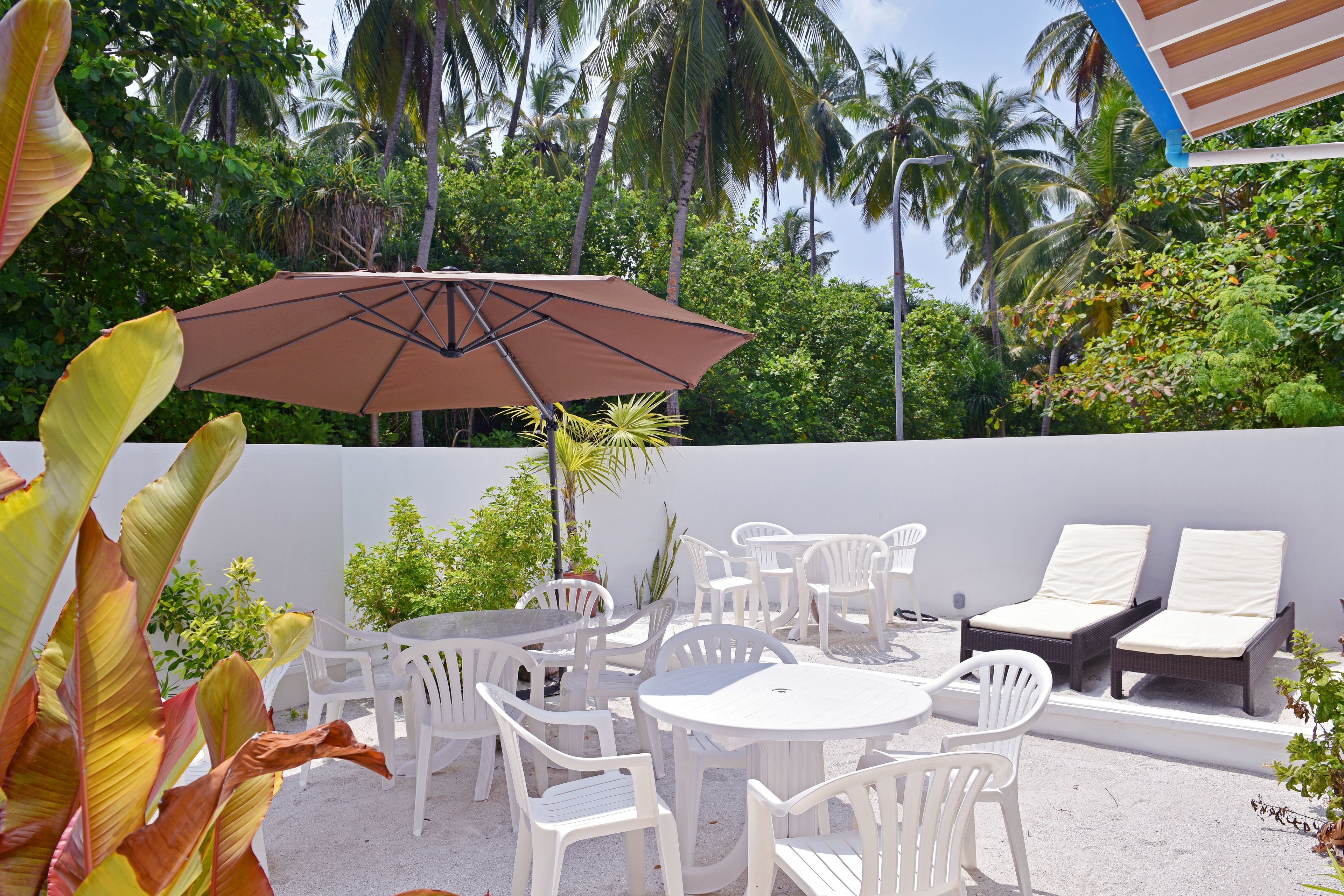 حيث تُقدم وجبات الإفطار، الغداء، العشاء، الأطباق العالمية