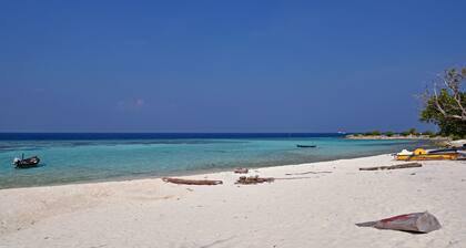 Asaa View