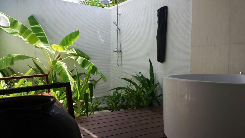 Casa de banho com chuveiro, banheira e uma planta em vaso.