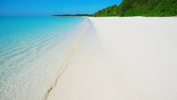 Una spiaggia nelle vicinanze