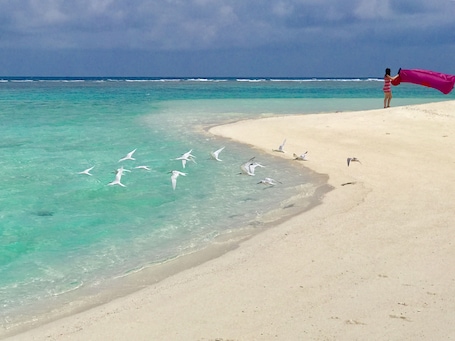 On the beach, white sand