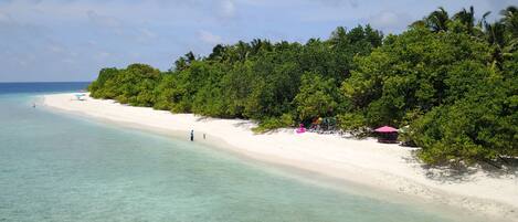 Habitació doble familiar, no fumadors | Vista de la platja o del mar