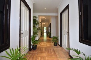 Un pasillo con suelo de madera, paredes blancas y puertas enmarcadas en negro. Se observan plantas en macetas a lo largo de los laterales.