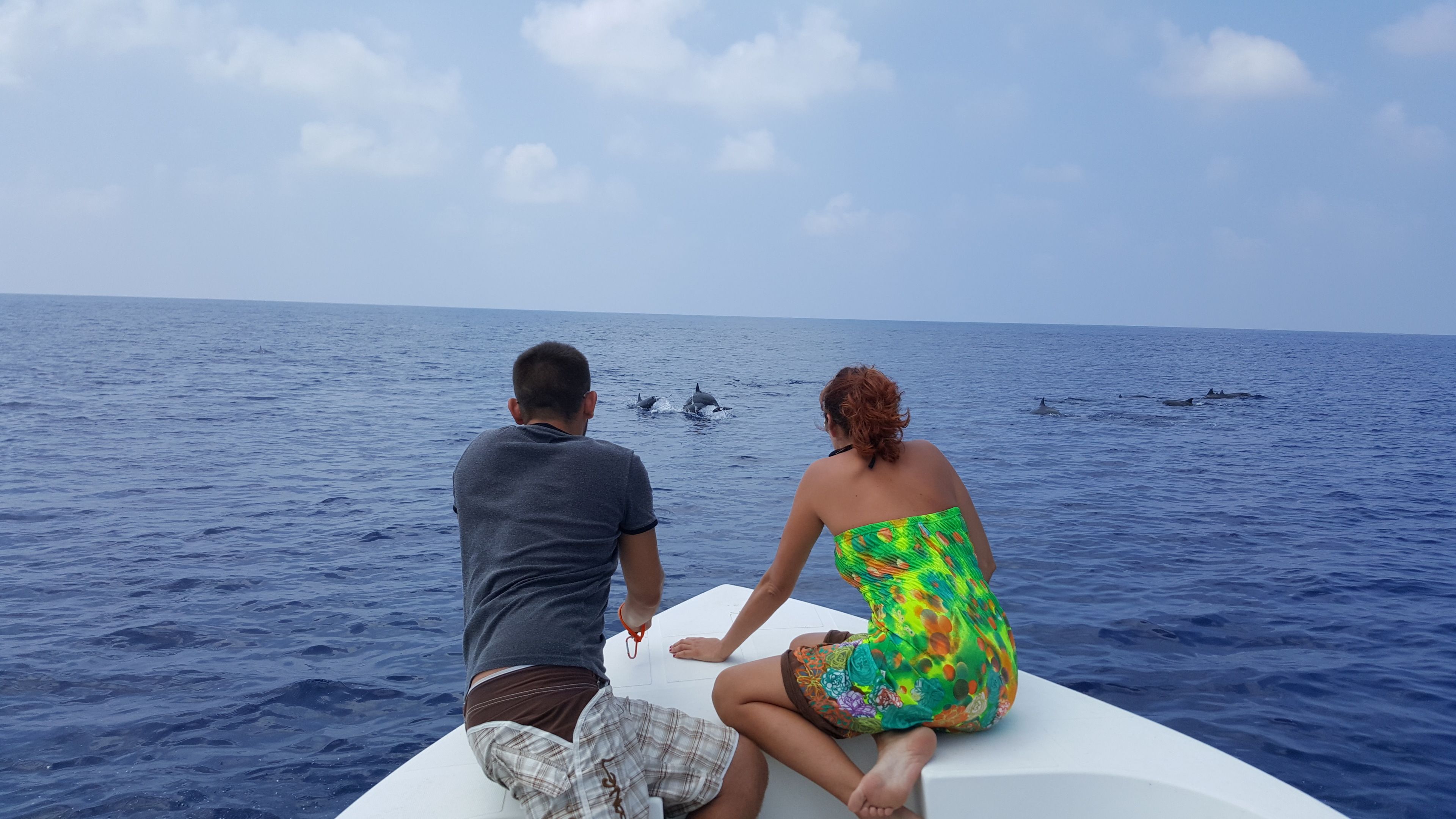 Two people on a boat with a view of dolphins in the ocean.