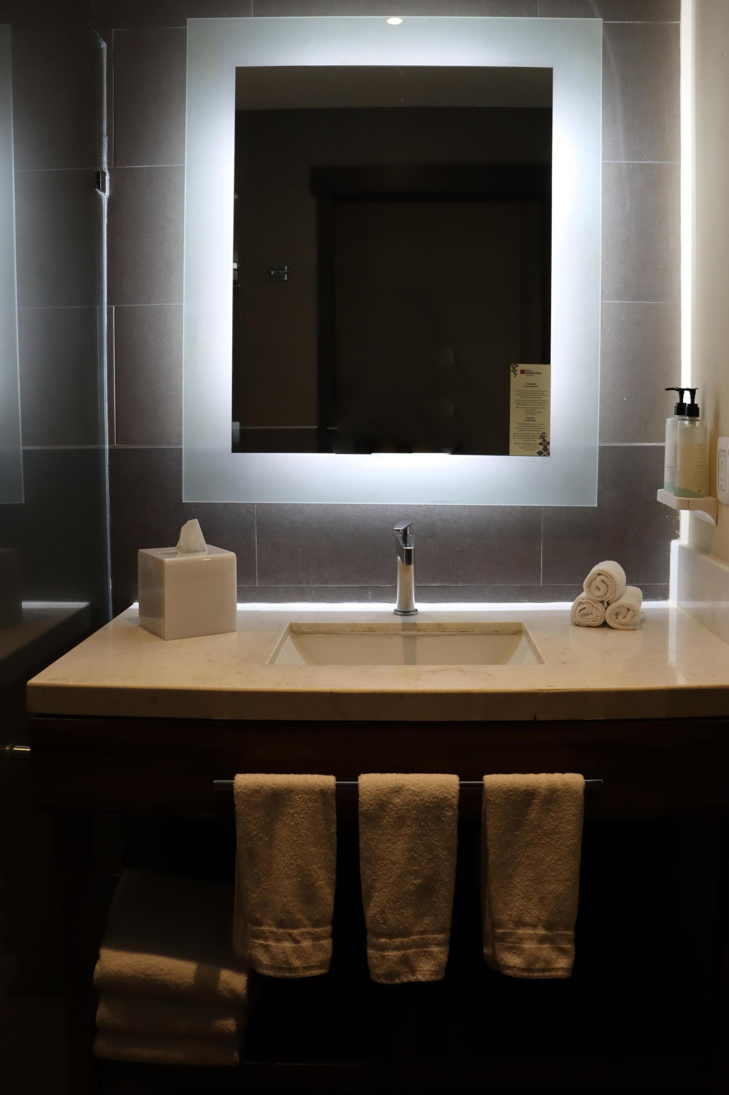 Foto - Hilton Garden Inn Aguascalientes