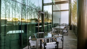 A modern indoor dining area with glass partitions, tables, and chairs, offering views of a bamboo forest. - Hilton Garden Inn Aguascalientes (Aguascalientes)