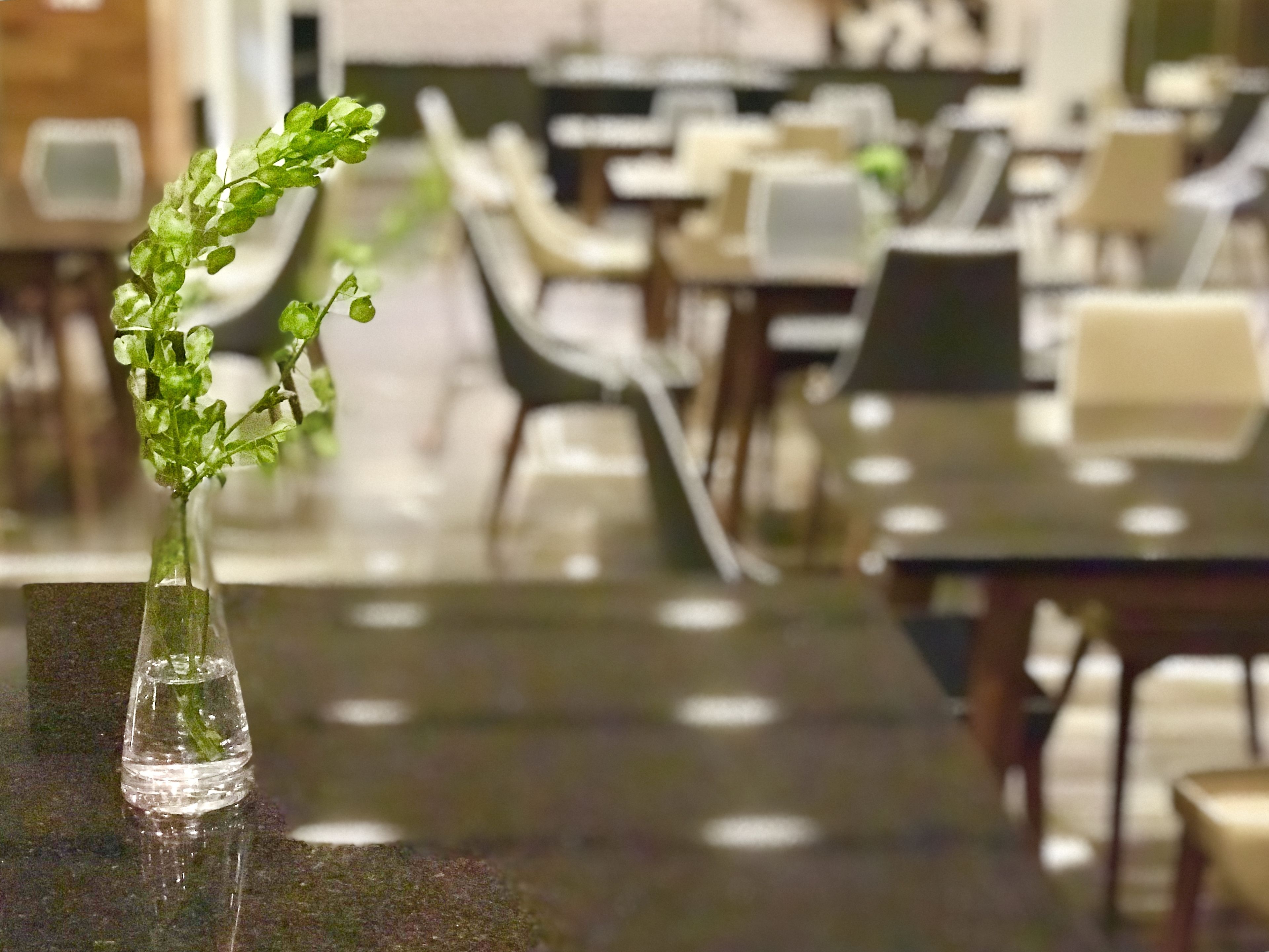 A clear view of a dining area with tables and chairs.
