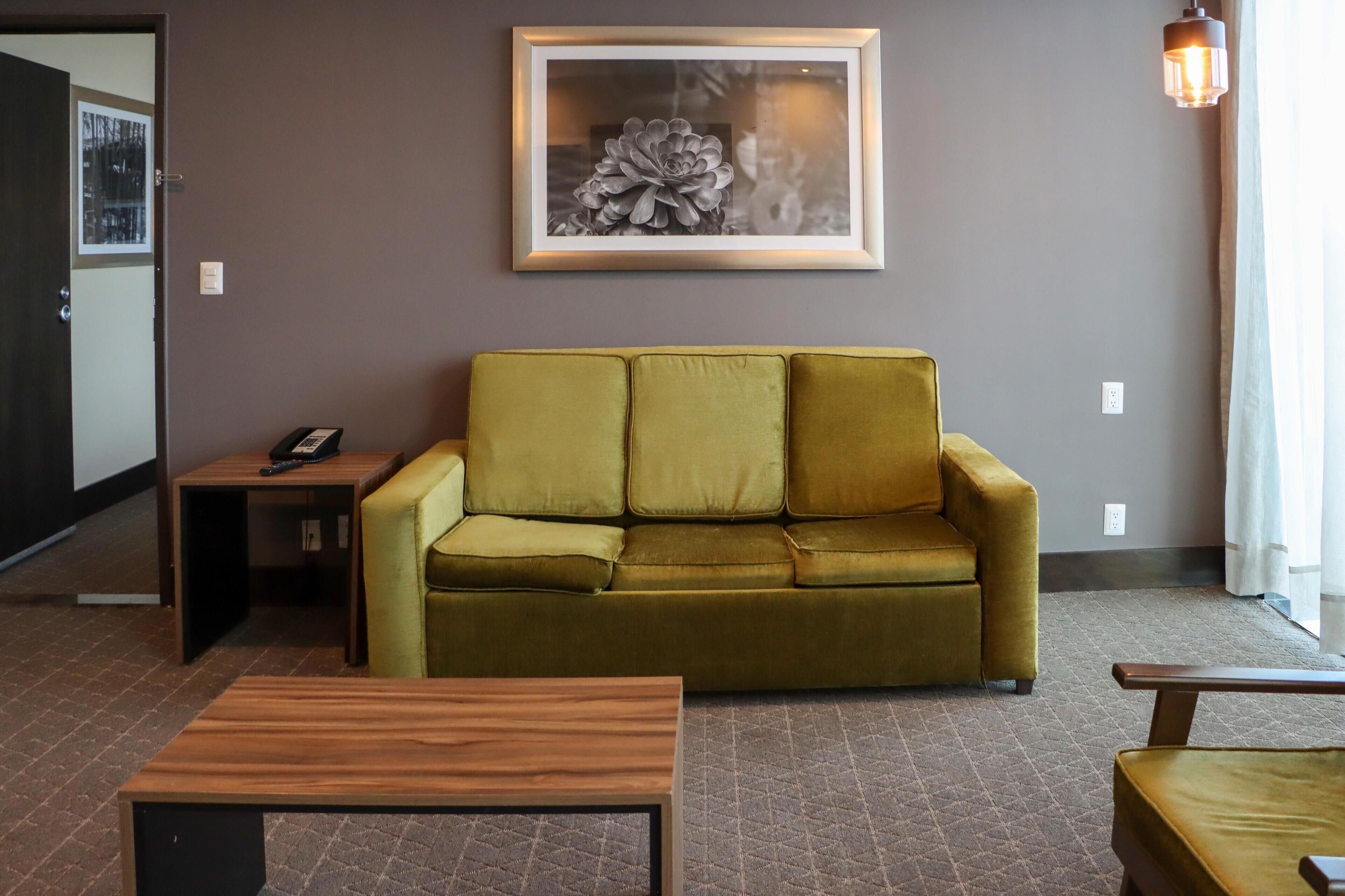 suite, 1 bedroom | living area | 47-inch led tv with cable channels, tv