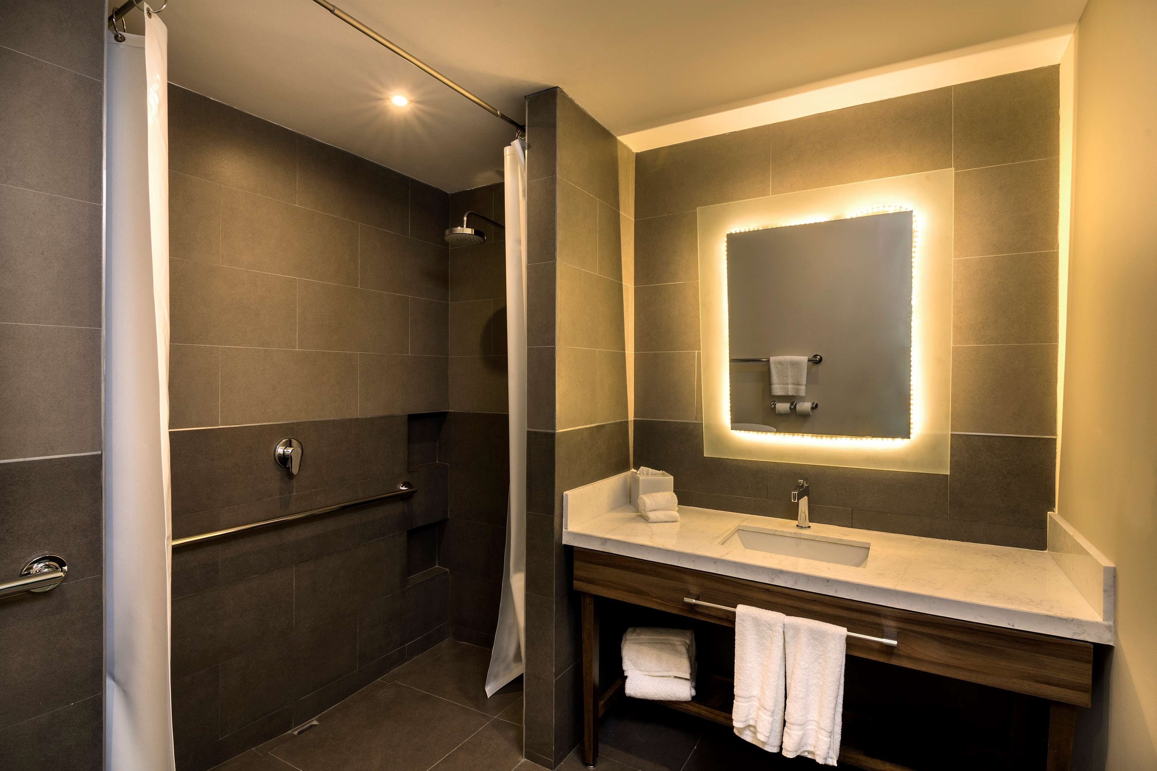 room, 1 queen bed, accessible (mobility & hearing, roll-in shower) | bathroom shower