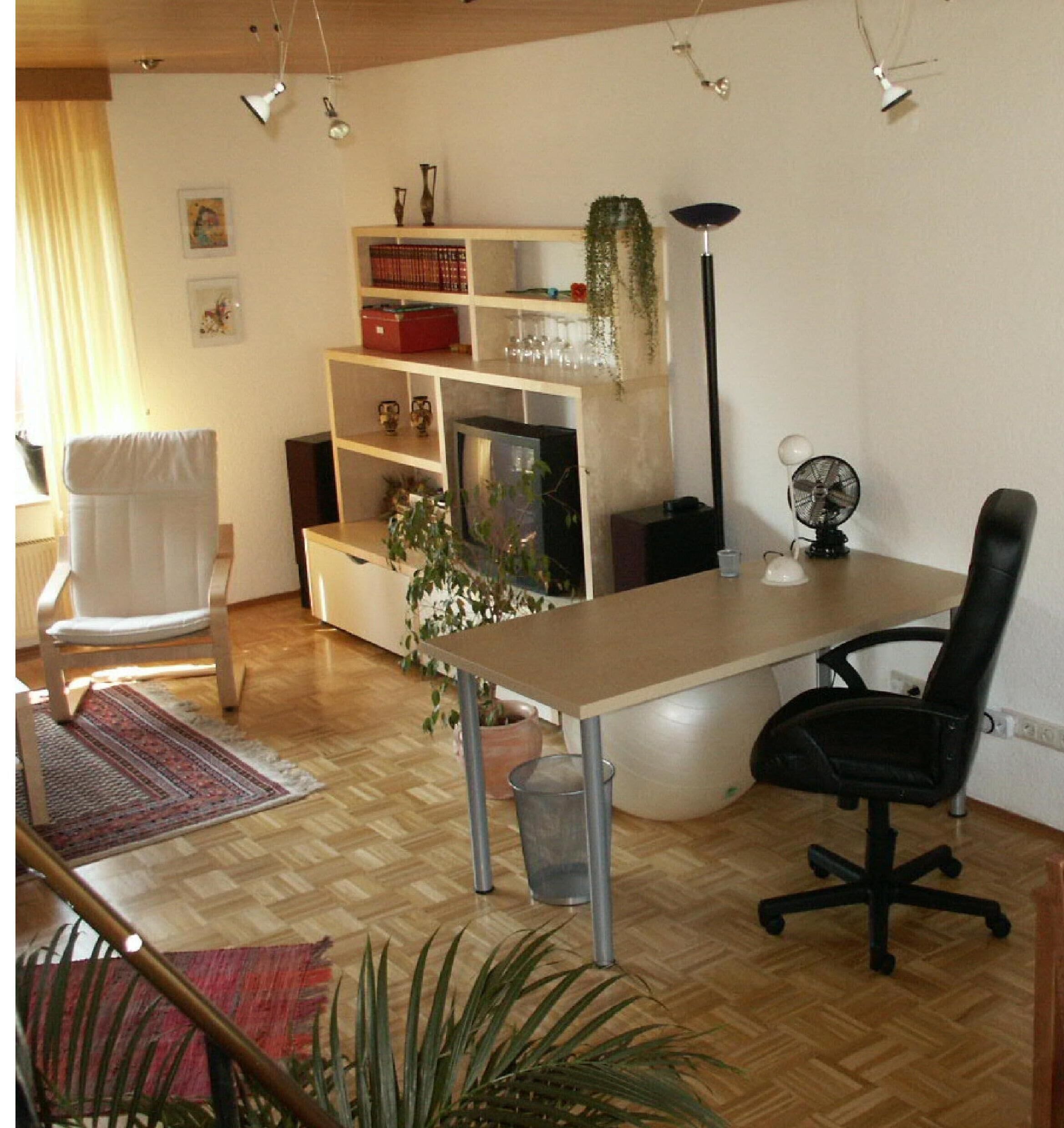 A modern living room with a wooden floor, a white sofa, a dining table with a chair, a bookshelf, and a potted plant.